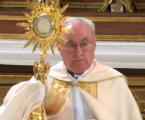 Adoración Eucarística con el P. José Aurelio Martín en la Basílica de la Concepción de Madrid, 21-5-2024