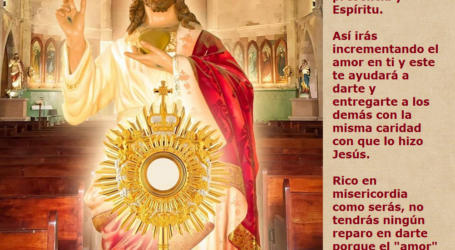 Aliméntate de Cristo Eucaristía y déjate impregnar de Su presencia y Espíritu / Por P. Carlos García Malo