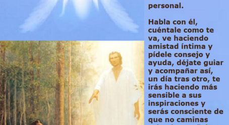 «El Señor ha dado órdenes a sus ángeles para que te guarden en tu camino»  / Por P. Carlos García Malo