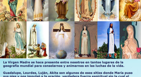 La Virgen María nos enseña a rezar y a hablar con Dios y a tener el corazón en Él / Por P. Carlos García Malo
