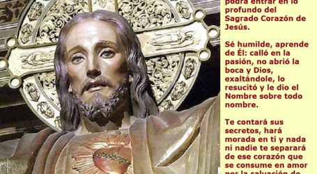 Sagrado Corazón de Jesús en vos confío / Por P. Carlos García Malo