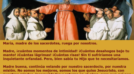 Virgen María, madre de los sacerdotes, ruega por nosotros / Por P. Carlos García Malo