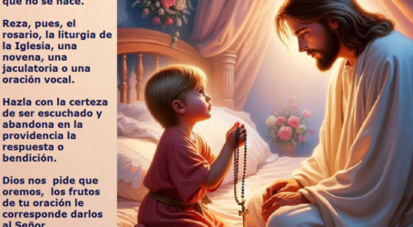 Dios nos  pide que oremos, los frutos de tu oración le corresponde darlos al Señor / Por P. Carlos García Malo