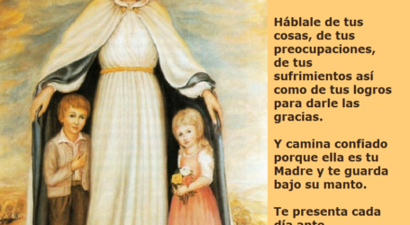 Mantente unido a la Virgen María, ella es consuelo del alma y fortaleza en el caminar / Por P. Carlos García Malo