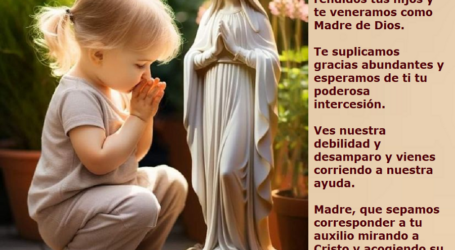 Reina de Cielos y Tierra, Virgen María, te veneramos como Madre de Dios / Por P. Carlos García Malo